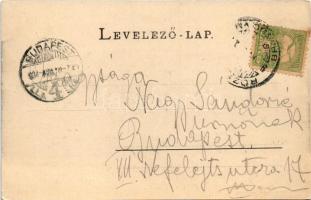 1904 Barcarozsnyó, Rozsnyó, Rasnov, Rosenau; Burg, Schleife / vár. Georg Gutt kiadása / castle (EK)