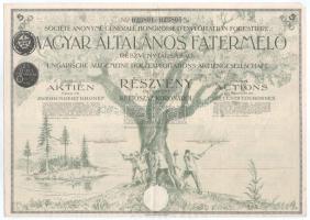 1924 Budapest "Magyar Általános Fatermelő Részvénytársaság" öt részvénye egyben, egyenként...