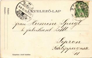 1907 Pozsony, Pressburg, Bratislava; Kereskedelmi és Iparkamara. Karpelesz Adolf kiadása / Handels- ...