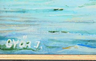 Győr jelzéssel: Balatoni vitorlások. Olaj, karton. Dekoratív fakeretben. 21x30 cm