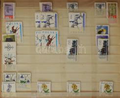 Lengyelország 1923-1973 összeállítás többnyire 10-es kötegekben, 57 db nagyalakú berakólapon, dobozb...