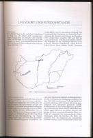 Sarolta Tettamanti: Das awarenzeitliche Gräberfeld in Vác-Kavicsbánya. Bp., 2000, MTA Régészeti Inté...