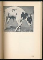 Dr. Tangl Harald: Vitaminok és az állat. Természet és Mezőgazdaság. Bp., 1968, Mezőgazdasági Kiadó, ...