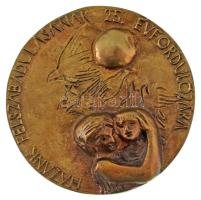 1970. "Hazánk felszabadulásának 25. évfordulójára" egyoldalas, öntött bronz emlékplakett (97mm) T:AU