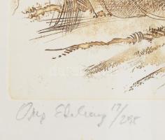 Almásy László (1926-): Női akt. Rézkarc, papír, jelzett, számozott (17/295), alpszéli apró foltokkal...