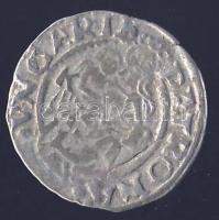 Ferdinánd 1549. Denár Ag ÉH.745a T:3