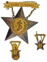 1949. "Magyar Élmunkás" részben aranyozott, fém kitüntetés, hátoldalán "7515" sorszámmal, két darab miniatűrrel, az egyik gomblyuk jelvényes rögzítővel T:XF baloldali tartólánc hiányzik