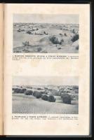 Cholnoky Jenő: Hazánk és népünk egy ezredéven át. A magyarság hajdan és most. Könyvnapi kiadás. Bp.,...