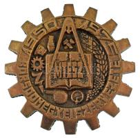 1975. Műszaki és Természettudományi Egyesületek Szövetsége "MTESZ Borsod megyei szervezete 1950-1975" egyoldalas bronz emlékplakett (~103mm) T:AU