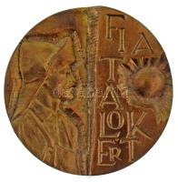 1970 k. "Fiatalokért" egyoldalas, öntött bronz plakett (70mm) T:AU