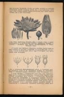 Lengyel Géza: Méhek és virágok. Bp., 1943, Országos Magyar Méhészeti Egyesület, 239+(1) p. Egyetlen ...