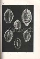 A középkori Magyarország főpapi pecsétjei a Magyar Tudományos Akadémia Művészettörténeti Kutató Csop...