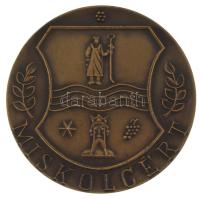 Varga Miklós (1928- ) DN "Miskolcért / Diósgyőri vár" kétoldalas bronz emlékérem, a kisebb kiadás, szignó nélkül (70mm) T:AU