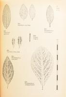 Tóth Imre: Díszfák és díszcserjék. Bp., 1969, Mezőgazdasági. Kiadói egészvászon kötés, papír védőbor...