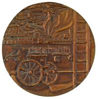 1973. "100 éves a Miskolc városi tűzoltóság" kétoldalas, öntött bronz emlékplakett (102mm) T:AU