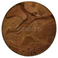 Szentirmai Zoltán (1941-) 1978. "MTV - XVIII. Miskolci TV fesztivál 1978" kétoldalas, öntött bronz plakett (71mm) T:AU, kis patina