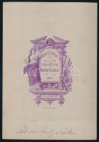 cca 1870-1890 Udvarhelyszéki népviseletes lány, keményhátú fotó Veress Ferenc (1832-1916) kolozsvári...