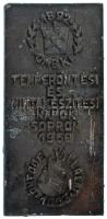 1969. "1892 OMBKE - Temperöntési és Mintakészítési Napok Sopron 1969 - Öntödei Vállalat 1963" egyoldalas, bronzozott ólom plakett (65x134mm) T:XF, karcok