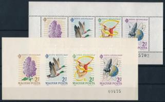1964 Bélyegnap Monográfia blokkpár, a vágott kis számmal (14.000)