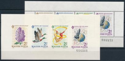 1964 Bélyegnap Monográfia fogazott és vágott blokk, mindkettő kisméretű sorszámmal (16.000)