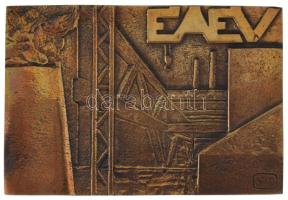 DN Észak-magyarországi Állami Építőipari Vállalat "ÉÁÉV" egyoldalas, öntött bronz plakett. Szign.: "SZP" (83,5x123mm) T:AU