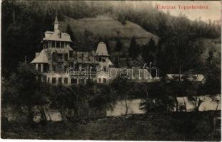 Topánfalva, Topersdorf, Campeni; Schlessel és Walter-féle kastély / castle (r)