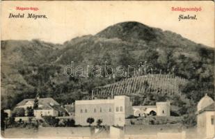 1913 Szilágysomlyó, Simleu Silvaniei; Magura, Simai kastély, nyaraló, szőlő. Sternberg Ignác kiadása / Dealul Magura / castle, villa, vineyards (Rb)