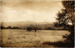 Hargita, Harghita; látkép / general view. Kovács István (Odorheiu) photo