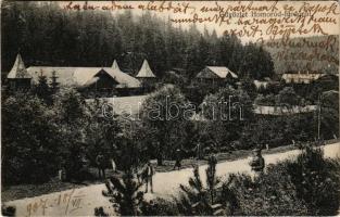 1907 Homoródfürdő, Homoród-fürdő, Baile Homorod; fürdő / spa (EK)