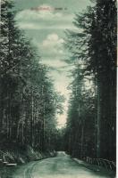 Stószfürdő spa alley (fa)