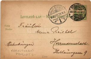 1900 Károlyváros, Karlovac; Pogled na glavno setaliste / nagy kávéház / café (EM)