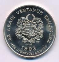 Bognár György (1944-) 1993. "MÉE Gyöngyösi Csoport - Aradi Vértanúk / Aulich Lajos" kétoldalas, jelzett Ag emlékérem kapszulában (34,50g/0.640/42,5 mm) T:UNC, kis folt Adamo GS12