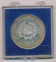 Bognár György (1944-) 1986. "MÉE Gyöngyösi Csoport - Aradi Vértanúk / Damjanich János" kétoldalas, jelzett Ag emlékérem műanyag tokban, plomba nélkül (34,50g/0.640/42,5 mm) T:UNC, patina Adamo GS4