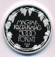 2008. 5000Ft Ag "Tokaji Történelmi Borvidék" kapszulában T:PP Adamo EM219