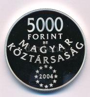 2004. 5000Ft Ag "Magyarország az Európai Unió tagja" kapszulában T:PP  Adamo EM190