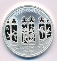 2004. 5000Ft Ag "Magyarország az Európai Unió tagja" kapszulában T:PP 
Adamo EM190