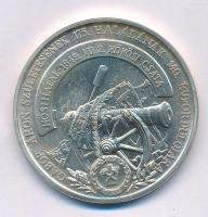 Bognár György (1944-) 1989. "Gábor Áron 1814-1849 / Születésének 175., halálának 140. évfordulójára - Hősi halál - 1849. VII 2. Kökösi csata" kétoldalas, peremén jelzett Ag emlékérem kapszulában (36,16g/0.835/42,5mm) T:UNC, pici patina