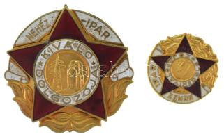 zzz DN (~1960-1970) "Nehézipar Kiváló Dolgozója" aranyozott, műgyantás fém jelvény miniatű...