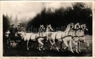 Bábolna, M. kir. állami ménes, Arab ötös fogat, hajtotta Pettkó Szandtner Tibor. Foto Waltner Berta (fa)