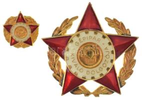 DN(~1960-1970) "Gépipar Kiváló Dolgozója" aranyozott, műgyantás fém jelvény miniatűrrel T:AU