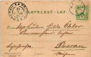 1901 Máriakálnok, Kálnok (Magyaróvár, Mosonmagyaróvár); Kálnoki rév, komp. A. Kumpf felvétele és kia...