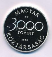 2000. 3000Ft Ag "Veszélyeztetett állatvilág - hód" kapszulában T:PP Adamo EM165