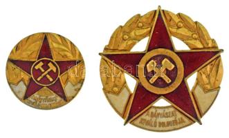 DN(~1960) "A Bányászat Kiváló Dolgozója" aranyozott, műgyantás jelvény miniatűrrel (29mm ; 19mm) T:XF, a miniatűrön kis műgyanta hiba