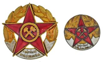 DN (~1960) "A Bányászat Kiváló Dolgozója" aranyozott, műgyantás jelvény miniatűrrel (29mm ; 19mm) T:XF,VF
