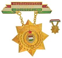 DN(~1970-1980) "Mezőgazdaság Kiváló Dolgozója" aranyozott, műgyantás bronz kitüntetés miniatűrrel T:AU