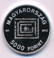 2012. 5000Ft Ag "Örkény István születésének 100. évfordulója" kapszulában T:PP Adamo EM247