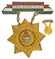 DN(~1970) "Kiváló Termelőszövetkezeti Tag" Kádár-címeres, zománcozott, aranyozott bronz kitüntetés miniatűrrel T:XF, kis zománchiba