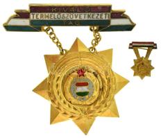 DN (~1970) "Kiváló Termelőszövetkezeti Tag" Kádár-címeres, zománcozott, aranyozott bronz kitüntetés miniatűrrel T:XF, pici zománchiba