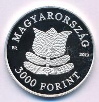 2013. 3000Ft Ag "A magyar táncház módszer" kapszulában T:PP Adamo EM256