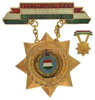 DN(~1960-1970) "Élelmiszer Ipar Kiváló Dolgozója" zománcozott, aranyozott bronz kitüntetés miniatűrrel T:AU, kis ragasztónyom